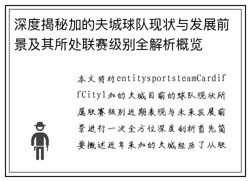 深度揭秘加的夫城球队现状与发展前景及其所处联赛级别全解析概览